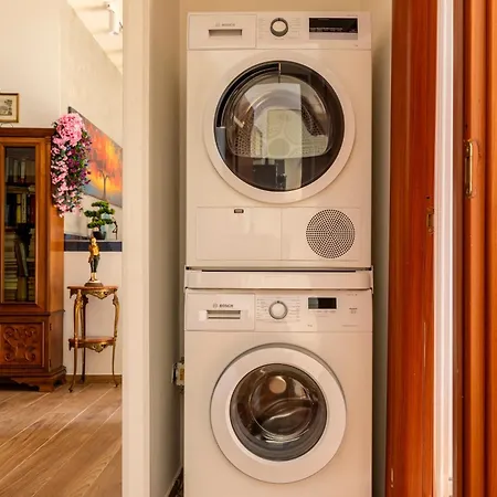Apartman Roots Of *