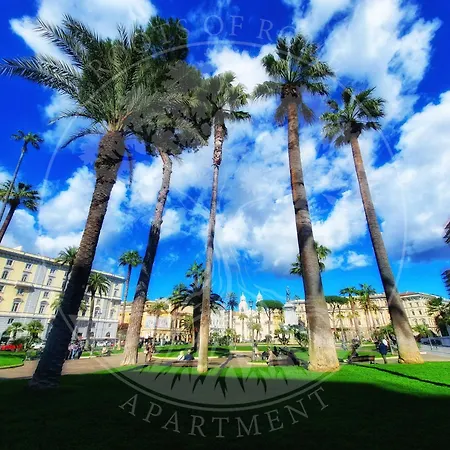 Roots Of Apartment